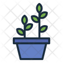 پیش‌نمایش فایل potted-plant-6938978 از پک هوگه