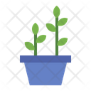 پیش‌نمایش فایل potted-plant-6939003 از پک هوگه