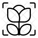 پیش‌نمایش فایل macro-mode-9 از پک اپلیکیشن ویرایشگر دوربین