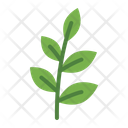 پیش‌نمایش فایل tea-leaves-7133480 از پک چای