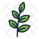 پیش‌نمایش فایل tea-leaves-7133505 از پک چای