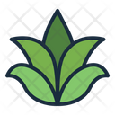 پیش‌نمایش فایل aloe-vera-7124247 از پک مراقبت از پوست