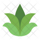 پیش‌نمایش فایل aloe-vera-7124222 از پک مراقبت از پوست