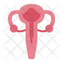 پیش‌نمایش فایل uterus-7379792 از پک قاعدگی