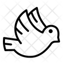 پیش‌نمایش فایل freedome-7830359 از پک روز وومانس