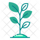 پیش‌نمایش فایل plant-7846198 از پک اکولوژی