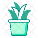 پیش‌نمایش فایل potted-plant-7846200 از پک اکولوژی
