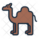 پیش‌نمایش فایل camel-8426340 از پک حج