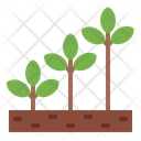 پیش‌نمایش فایل growth-8447672 از پک مزرعه هوشمند