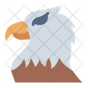 پیش‌نمایش فایل eagle-8671547 از پک چهارم جولای