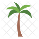 پیش‌نمایش فایل coconut-tree-8770780 از پک درخت