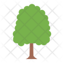 پیش‌نمایش فایل elm-8770783 از پک درخت