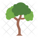 پیش‌نمایش فایل maple-8770785 از پک درخت