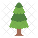 پیش‌نمایش فایل pine-8770788 از پک درخت