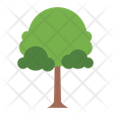 پیش‌نمایش فایل tree-8770793 از پک درخت