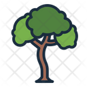 پیش‌نمایش فایل maple-8770761 از پک درخت
