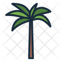 پیش‌نمایش فایل royal-palm-8770765 از پک درخت