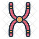 پیش‌نمایش فایل chromosome-8945273 از پک زیست‌شناسی