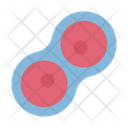 پیش‌نمایش فایل cell-division-8945346 از پک زیست‌شناسی