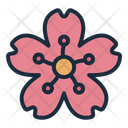 پیش‌نمایش فایل cherry-blossom-9262135 از پک کره جنوب
