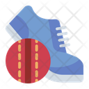 پیش‌نمایش فایل shoe-10566922 از پک کریکت