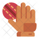 پیش‌نمایش فایل wicket-glove-10566931 از پک کریکت