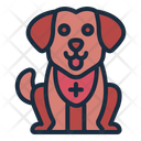 پیش‌نمایش فایل dog-10656050 از پک نجات