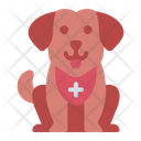 پیش‌نمایش فایل dog-10656135 از پک نجات