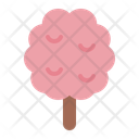 پیش‌نمایش فایل cotton-candy-10807396 از پک دسر شیرینی