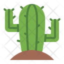 پیش‌نمایش فایل cactus-11110772 از پک کابوی