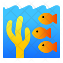 پیش‌نمایش فایل underwater-1451961 از پک طبیعت