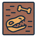 پیش‌نمایش فایل fossil-11426348 از پک ماقبل تاریخ