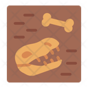 پیش‌نمایش فایل fossil-11426323 از پک ماقبل تاریخ