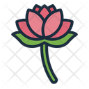 پیش‌نمایش فایل lotus-11417816 از پک تایلند
