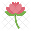 پیش‌نمایش فایل lotus-11417791 از پک تایلند