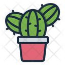 پیش‌نمایش فایل cactus-11417704 از پک پنجم می (جشن مکزیکی)