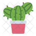 پیش‌نمایش فایل cactus-11417679 از پک پنجم می (جشن مکزیکی)