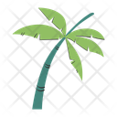 پیش‌نمایش فایل palm-11524736 از پک تابستان