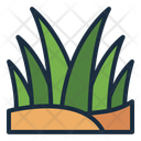 پیش‌نمایش فایل grass-11629428 از پک بیابان