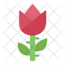 پیش‌نمایش فایل rose-11629515 از پک افسانه‌ها