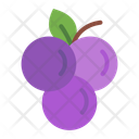 پیش‌نمایش فایل grape-11630081 از پک میوه گرمسیری