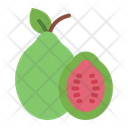 پیش‌نمایش فایل guava-11630082 از پک میوه گرمسیری