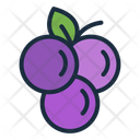 پیش‌نمایش فایل grape-11630106 از پک میوه گرمسیری