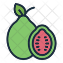 پیش‌نمایش فایل guava-11630107 از پک میوه گرمسیری
