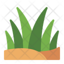 پیش‌نمایش فایل grass-11629403 از پک بیابان