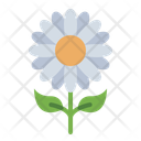 پیش‌نمایش فایل daisy-11900396 از پک درمان زیبایی