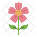 پیش‌نمایش فایل flower-11900404 از پک درمان زیبایی