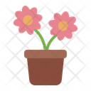 پیش‌نمایش فایل flower-pot-11900402 از پک درمان زیبایی