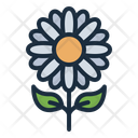 پیش‌نمایش فایل daisy-11900421 از پک گلفروشی