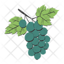 پیش‌نمایش فایل grape-11938264 از پک میوه و سبزیجات